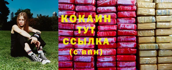 амф Корсаков