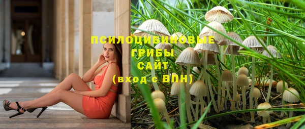амф Корсаков