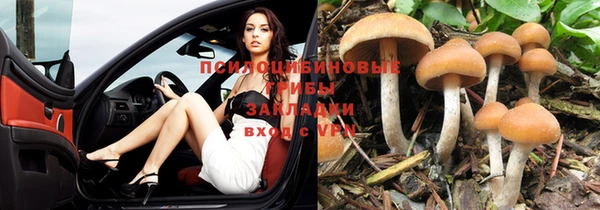 гашиш Коряжма
