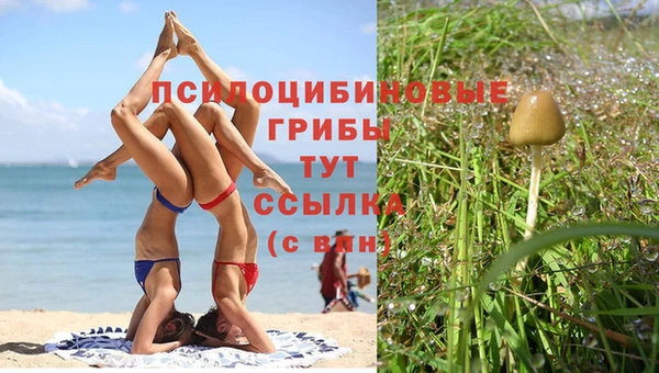 СК Костерёво