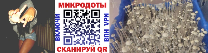 Псилоцибиновые грибы мухоморы Старица